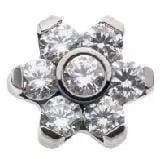 V-350 Dermal