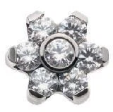 V-350 Dermal