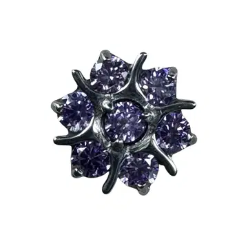 B-1449 Purple