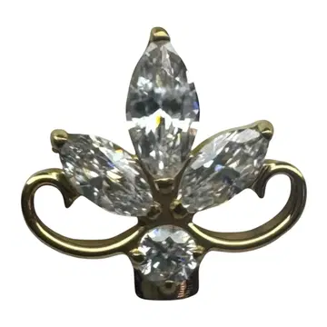 B-1877 PVDgold