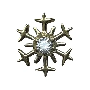B-1116 PVDgold