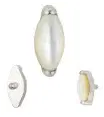 B-1195 2-White Shell