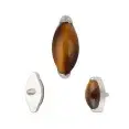 B-1195 12-Yellowtiger Eye